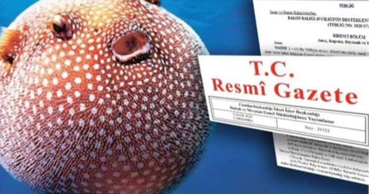 balon-baligi-avciligi-destegi-artirildi-gigMdddn.webp