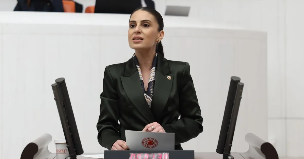 milletvekili-ozcandan-sokak-hayvanlari-icin-bakan-yumakliya-onerge-STgpH1JK.webp
