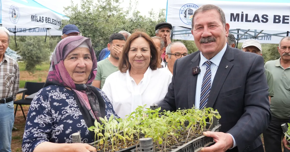 mugla-milasta-300-ureticiye-dagitim-gerceklestirildi-9txSTHQz.webp