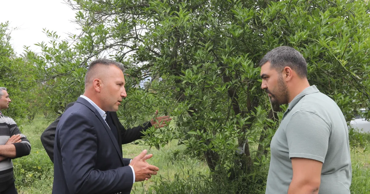muglada-zirai-donun-yaralari-sarildi-af1NRSKL.webp