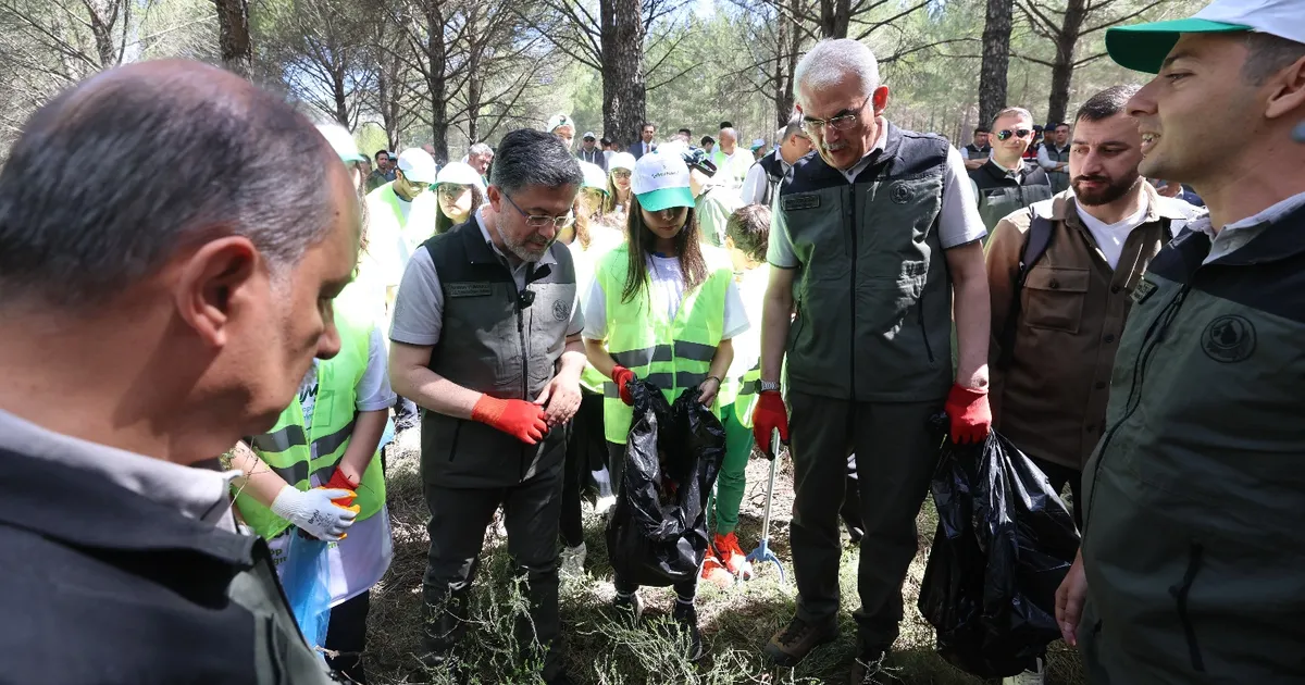 orman-yanginlarina-karsi-es-zamanli-temizlik-pznZGYA3.webp