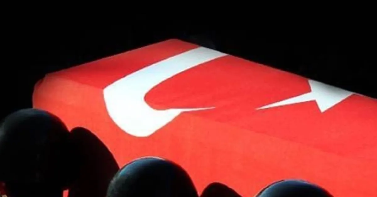 pence-kilite-yildirim-dustu-1-askerimiz-sehit-HUNHv5Od.webp