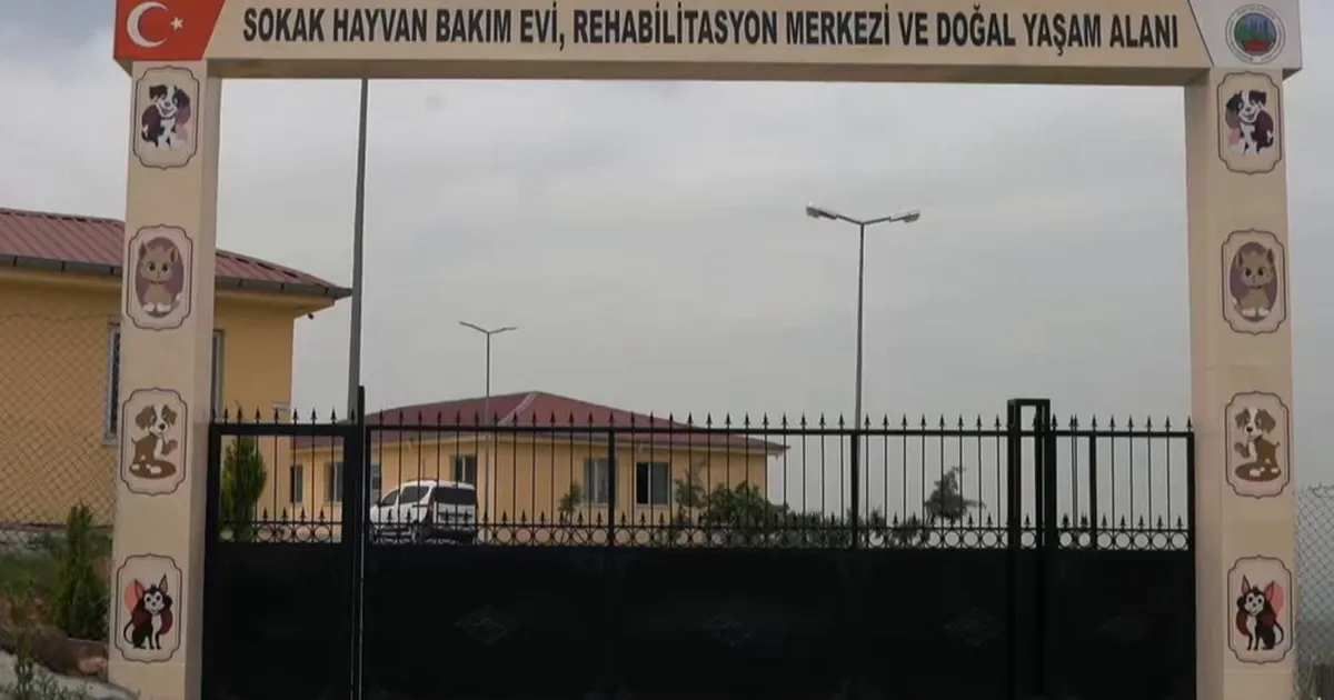 siirtte-sokak-hayvanlari-icin-dev-proje-nK1fYsyJ.webp