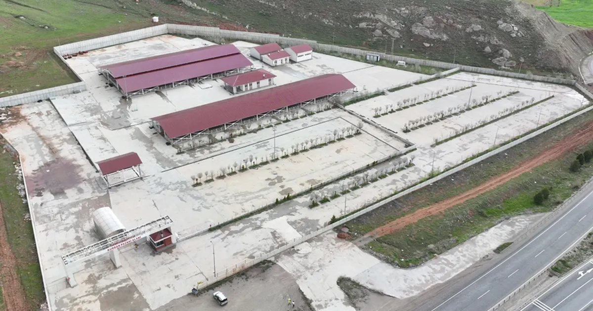 sivasta-kurban-pazari-kovaliya-kuruluyor-gWvYyKKg.webp