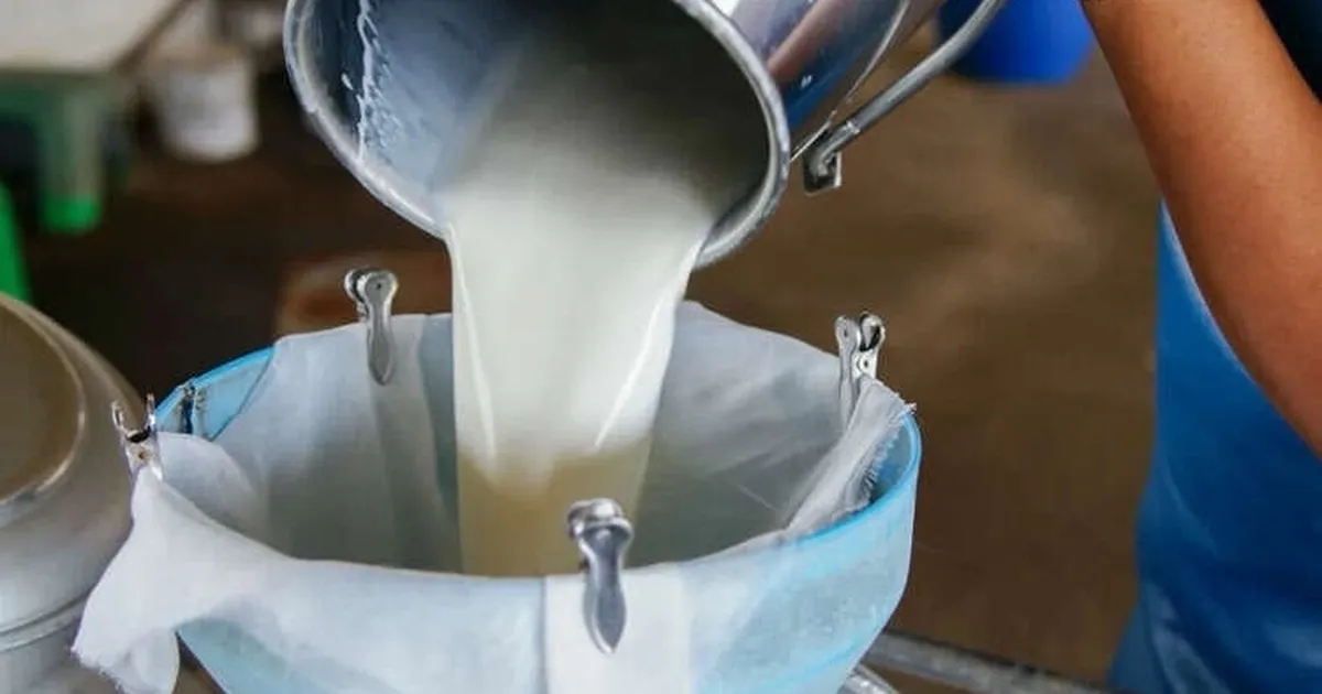 turkiyede-sut-uretimi-yukseliyor-martta-1-milyon-15-bin-ton-sut-toplandi-eTk6FGD1.webp