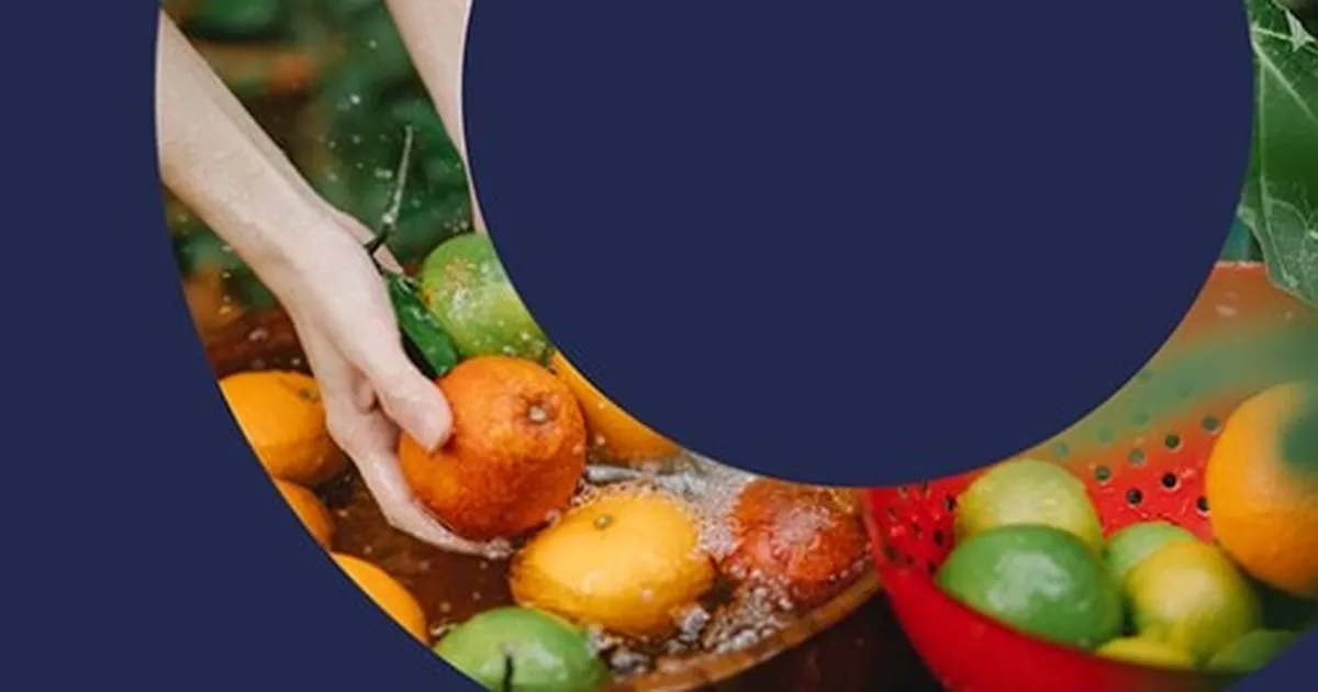 turkiyeden-planthealth4life-kampanyasina-destek-jWzfvHkh.webp