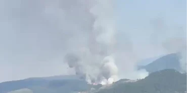 Balıkesir Sındırgı'da orman dışı alanda yangın!