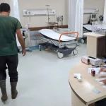 Bursa'da veteriner hekim sokak köpeği tarafından ısırıldı!
