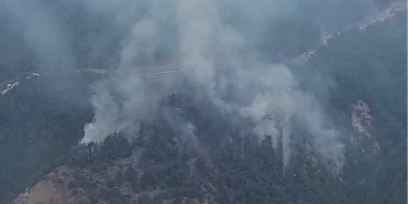 Karabük Yeşilköy’de orman yangını