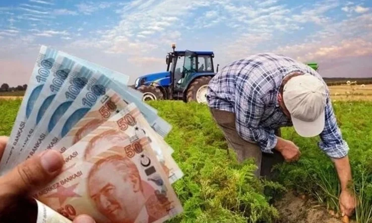 Çiftçiye 471 milyon TL destek hesaplarda
